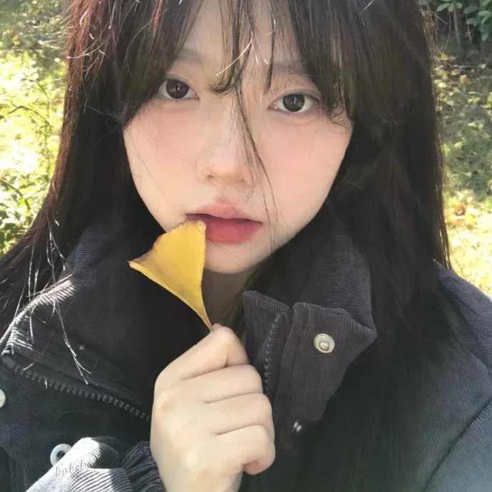孕妇与狂徒